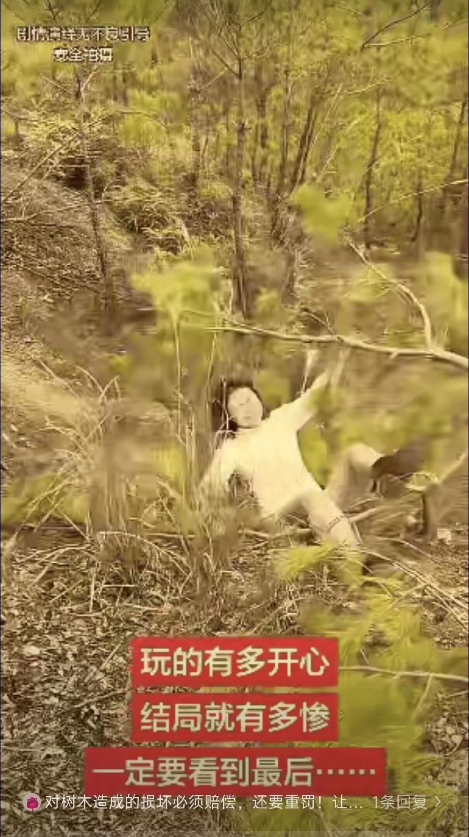 这不就是作吗？一百多斤的人，在那么细的小树杈上疯狂的摇来晃去，结果，树折人落，上