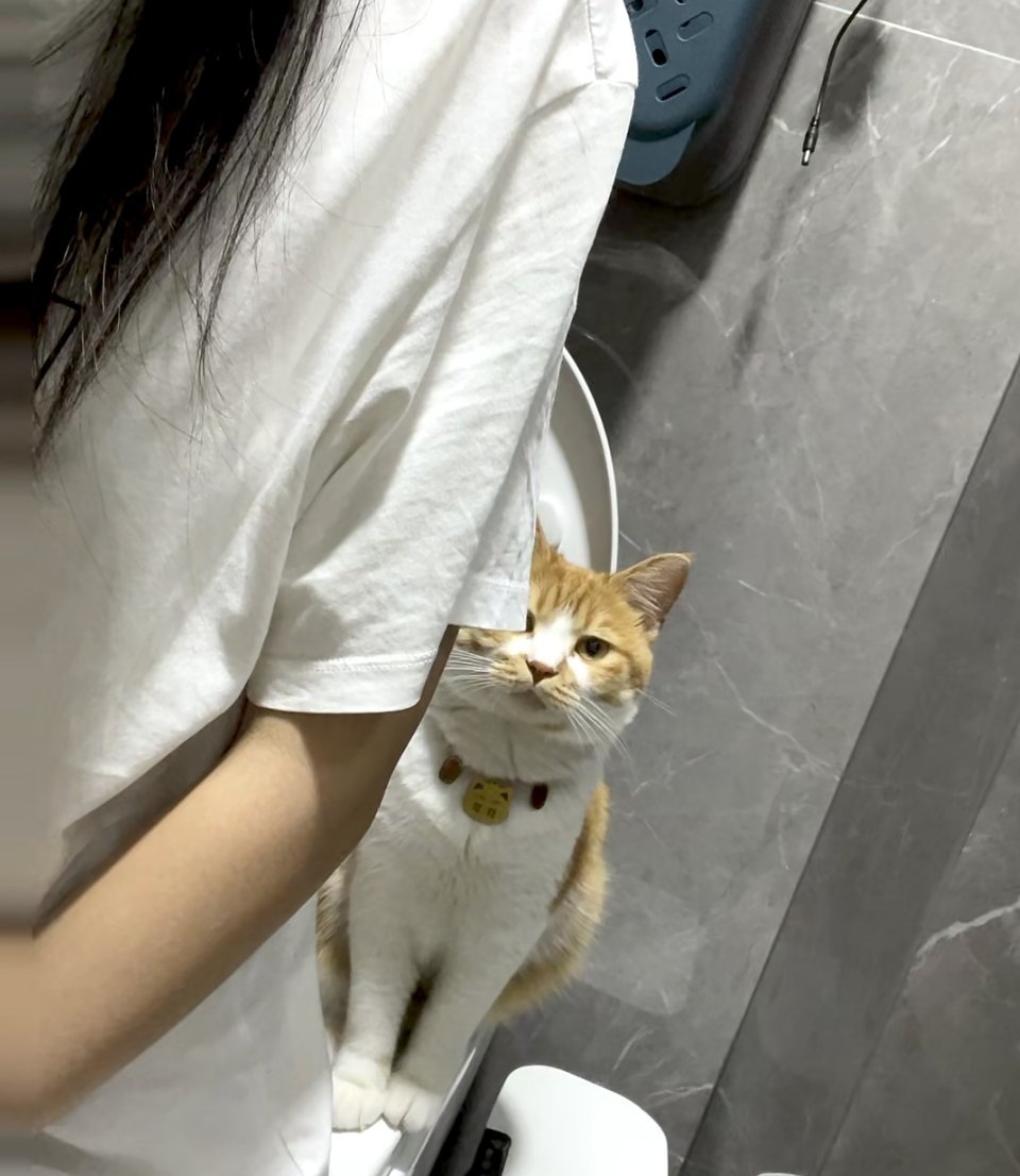 这像话吗？！这猫也太没边界感了吧！！！ 