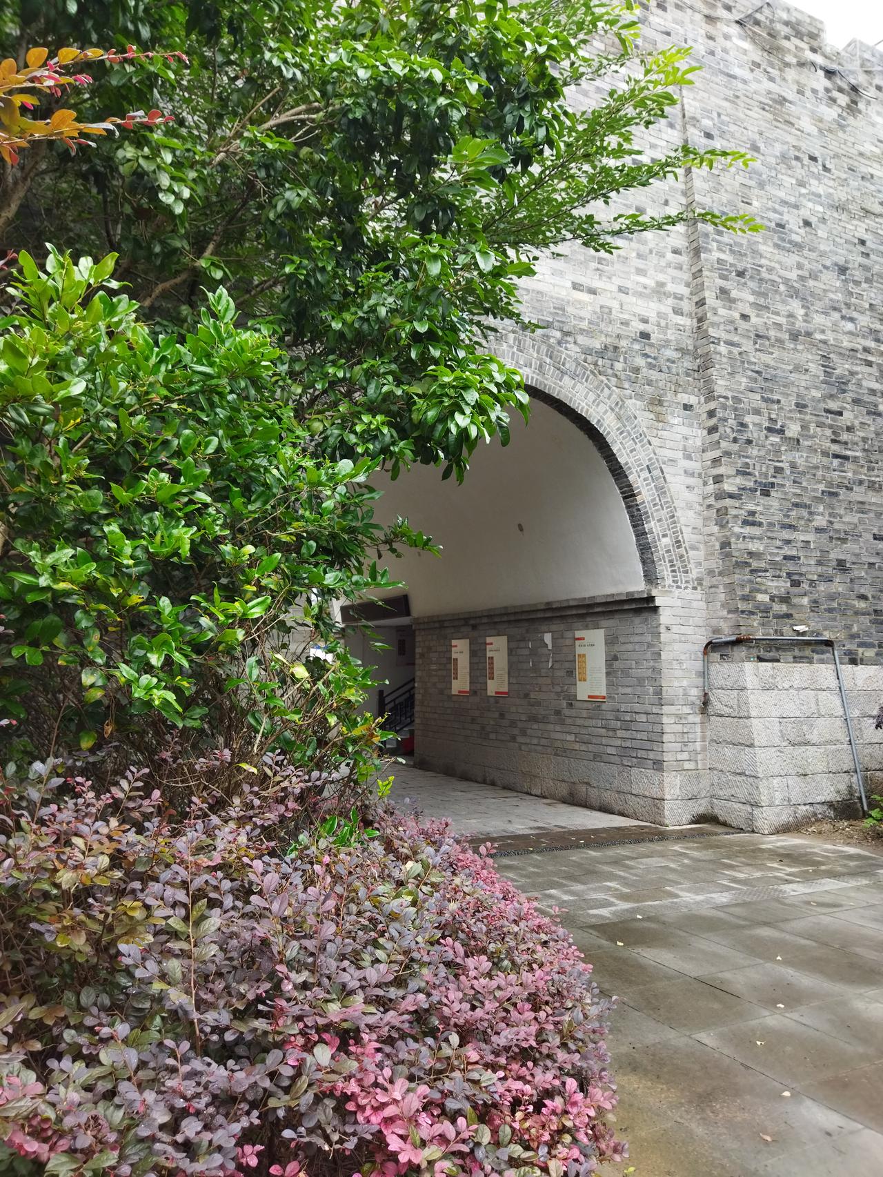 南京这天气真是变幻莫测。今天高温褪去，可受台风“巴威”影响，云厚风大，4 - 5
