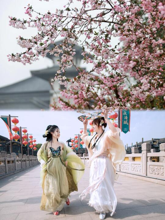 江浙沪周边游｜春日赏樱好去处🌸