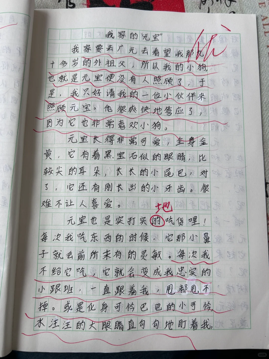 四下习作《我的动物朋友》优秀例文