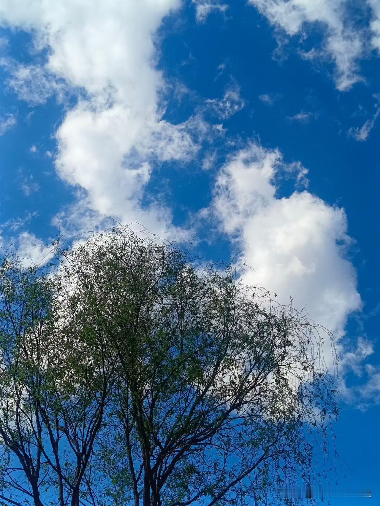 可以分享一张你拍的天空美照吗