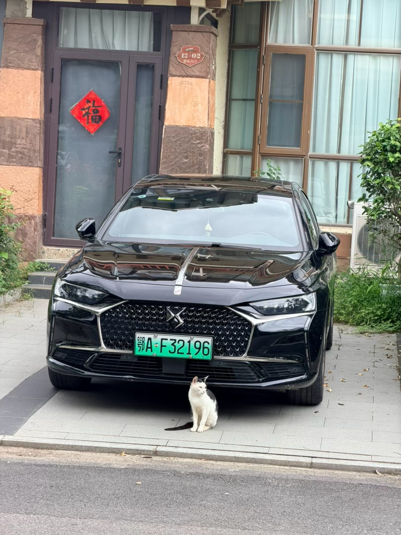 尚彪也爱优雅的车，那么多车，它不靠，就靠DS9 