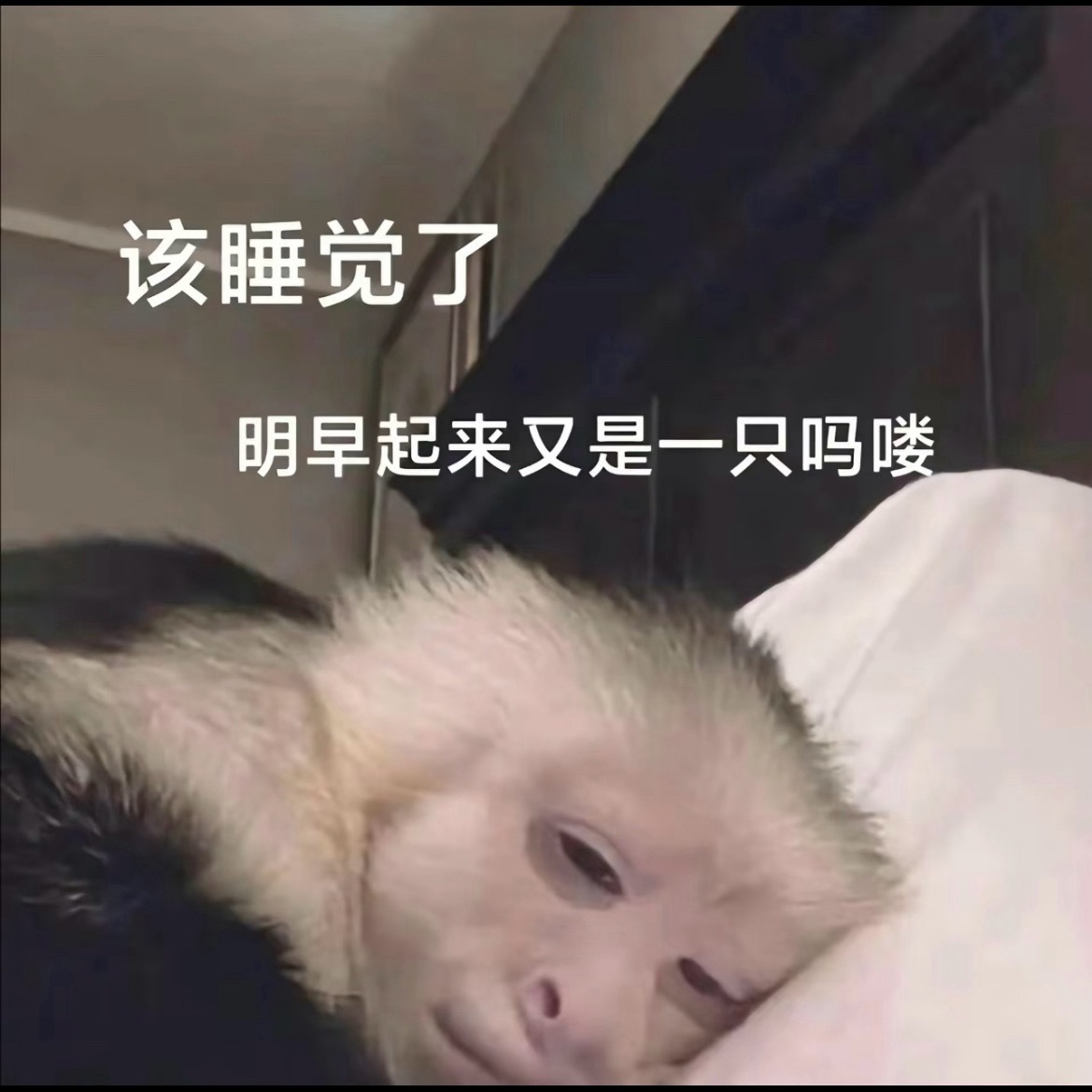 准备睡了 意识模糊 有什么要求尽管提 说不定脑子不清醒直接就同意了 