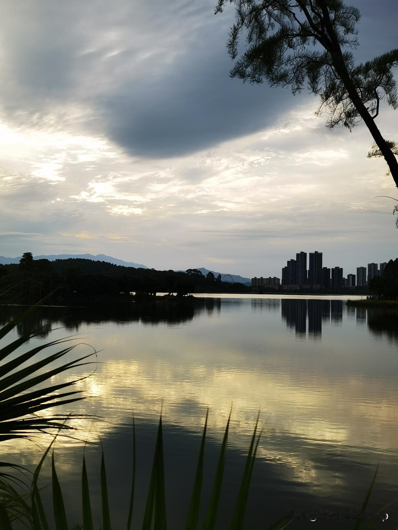 清晨的荔湖公园，阳光、湖水，鸟鸣，和跑步的人，让人心旷神怡……

晨曦里的荔湖公
