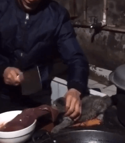 刀口夺食