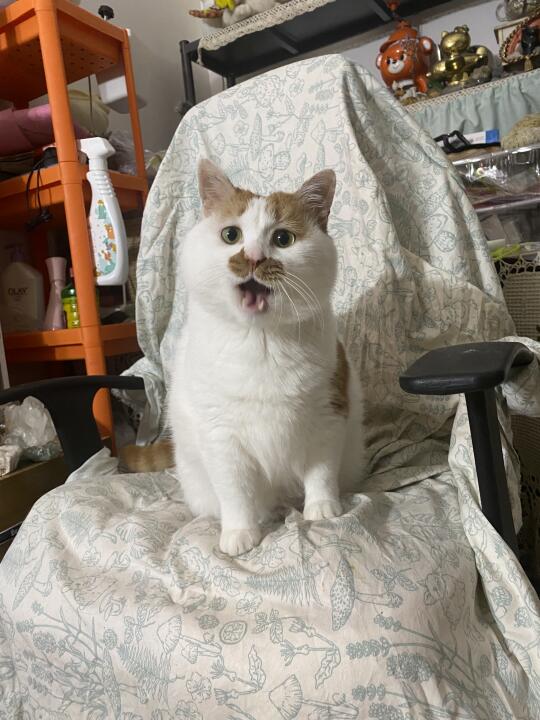 珍惜每一个风平浪静的日子