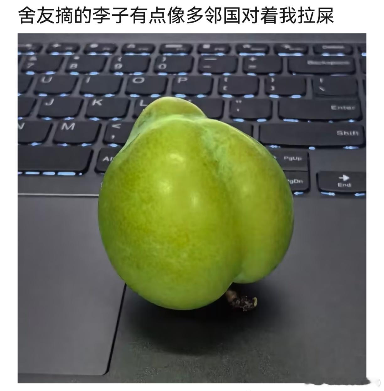 ： 