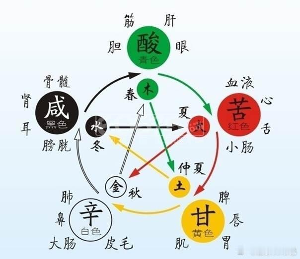 #血型瘦身法#大家知道五脏瘦身法吗？不同的肥胖部位，对应不同的经络，肝胆——腿粗
