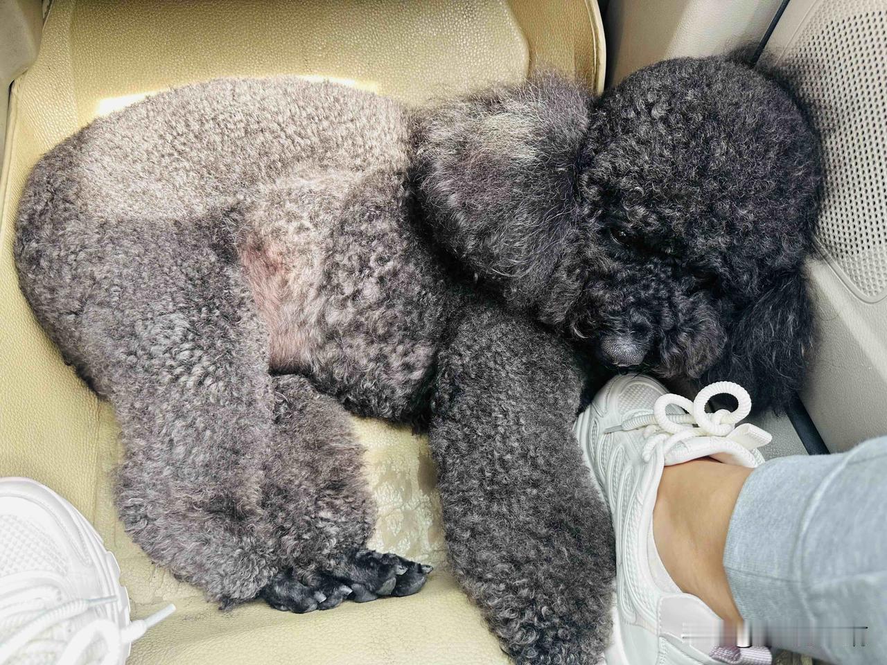 还在高速上…
外面漆黑一片。
我妈打电话过来叮嘱我们俩一定要慢点开，千万慢点。