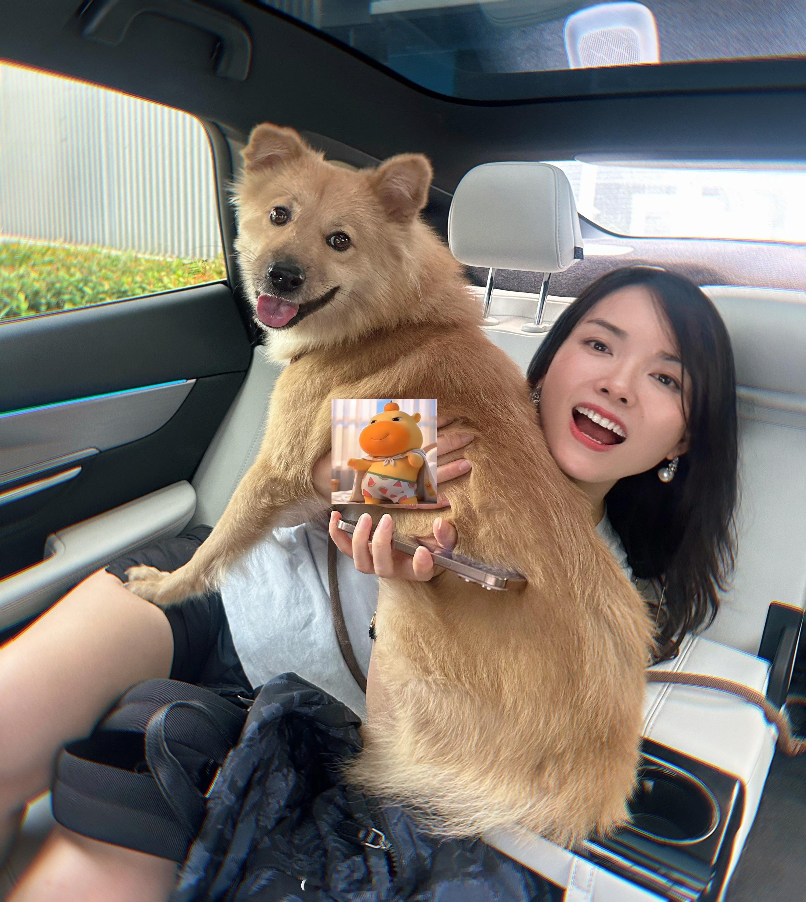 萌宠[超话] 早上好呀[比耶][比耶][比耶][比耶]  我的狗狗叫球球我的狗狗
