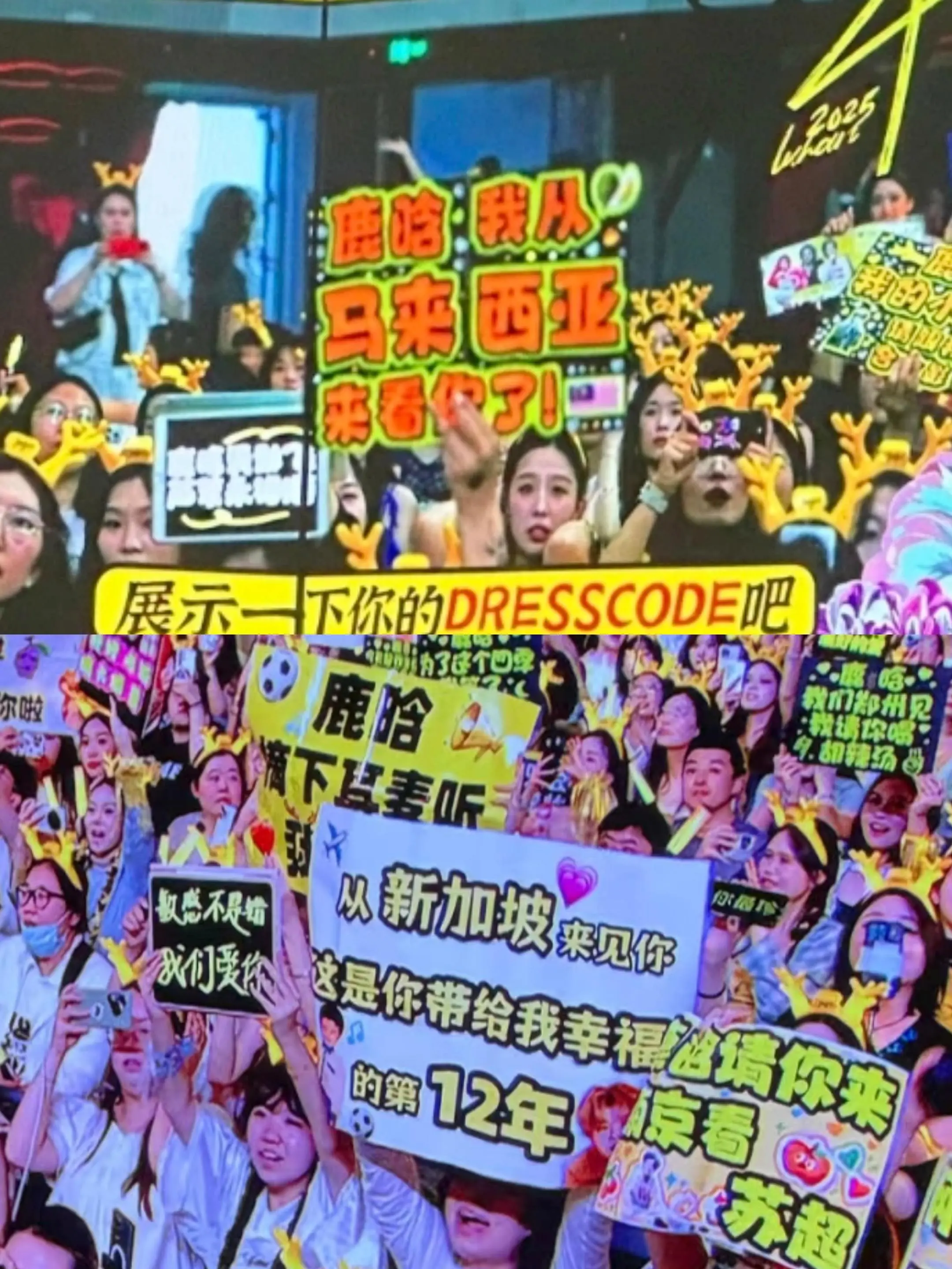 爱永远不分国界  不分年龄。