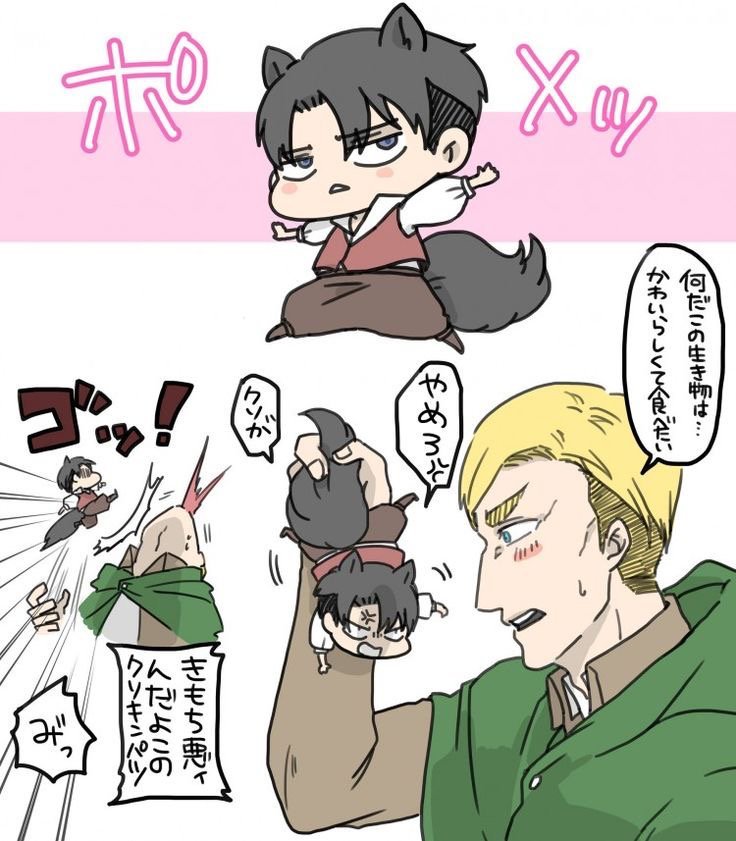 7804很小！很强！ ​​​