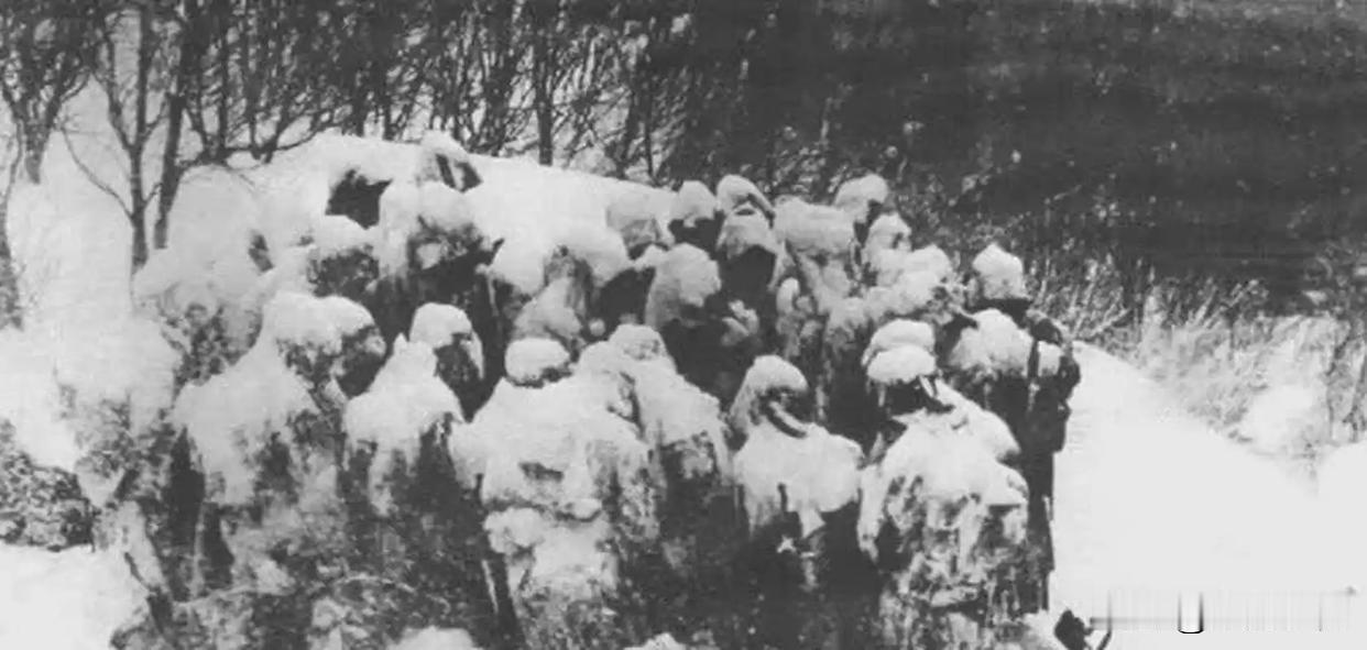 假意带路投喂日寇，黑龙江地主五天拖垮300鬼子，众人险些错骂真英雄
 
1937