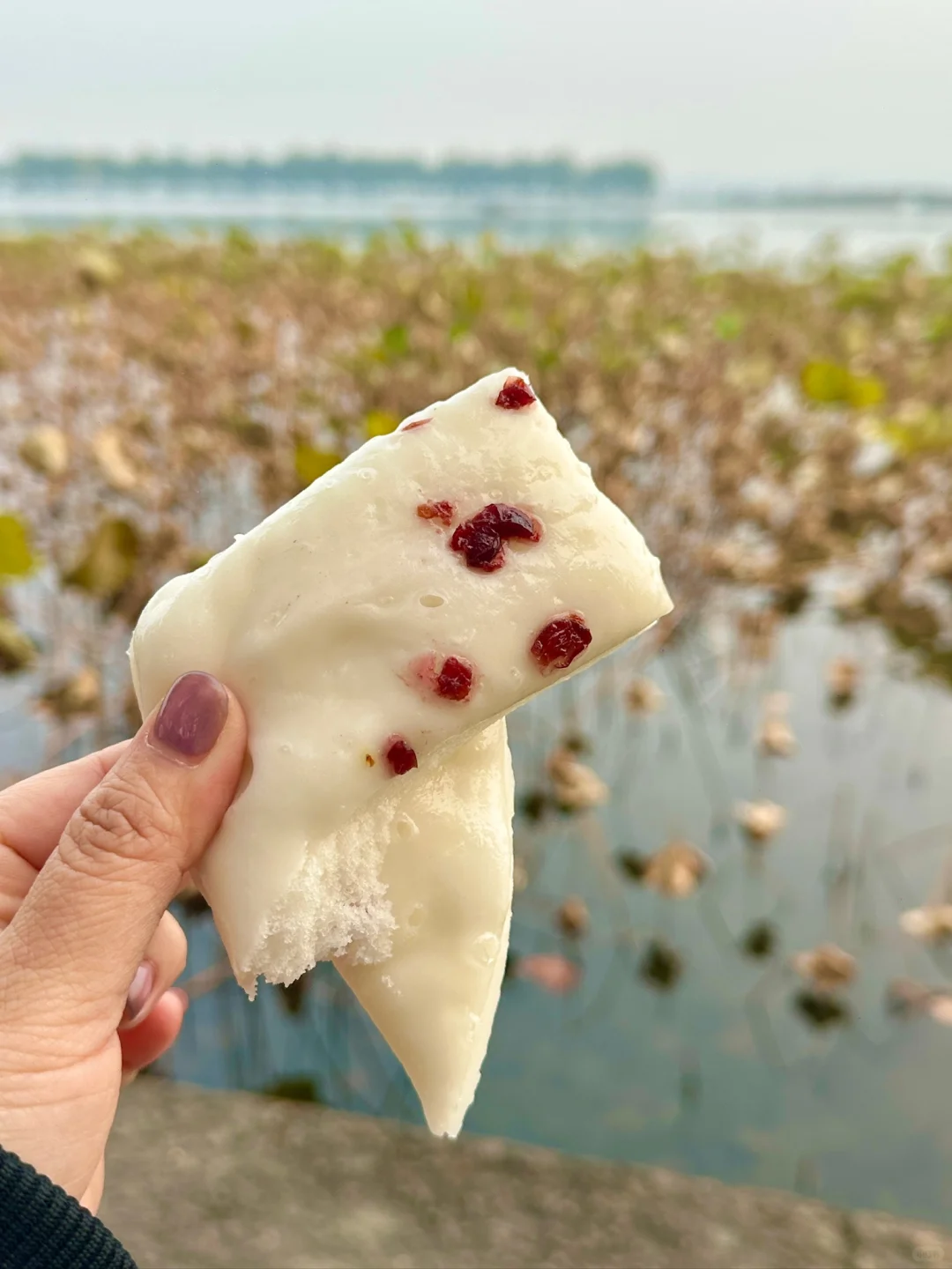 碳水“小脑袋”｜糕香四溢的甜蜜💕