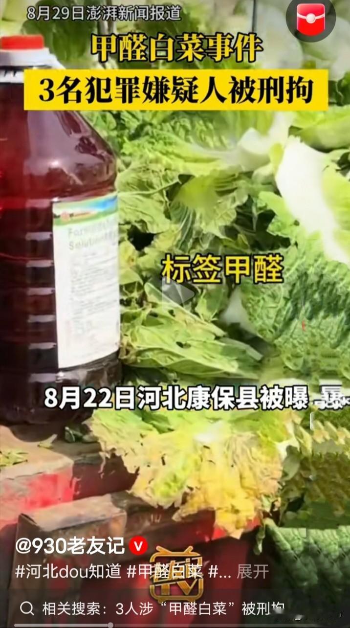 甲醛白菜只有三人刑拘？
·
8月22日，河北康保县屯垦镇白菜收购点，工人拎着白菜