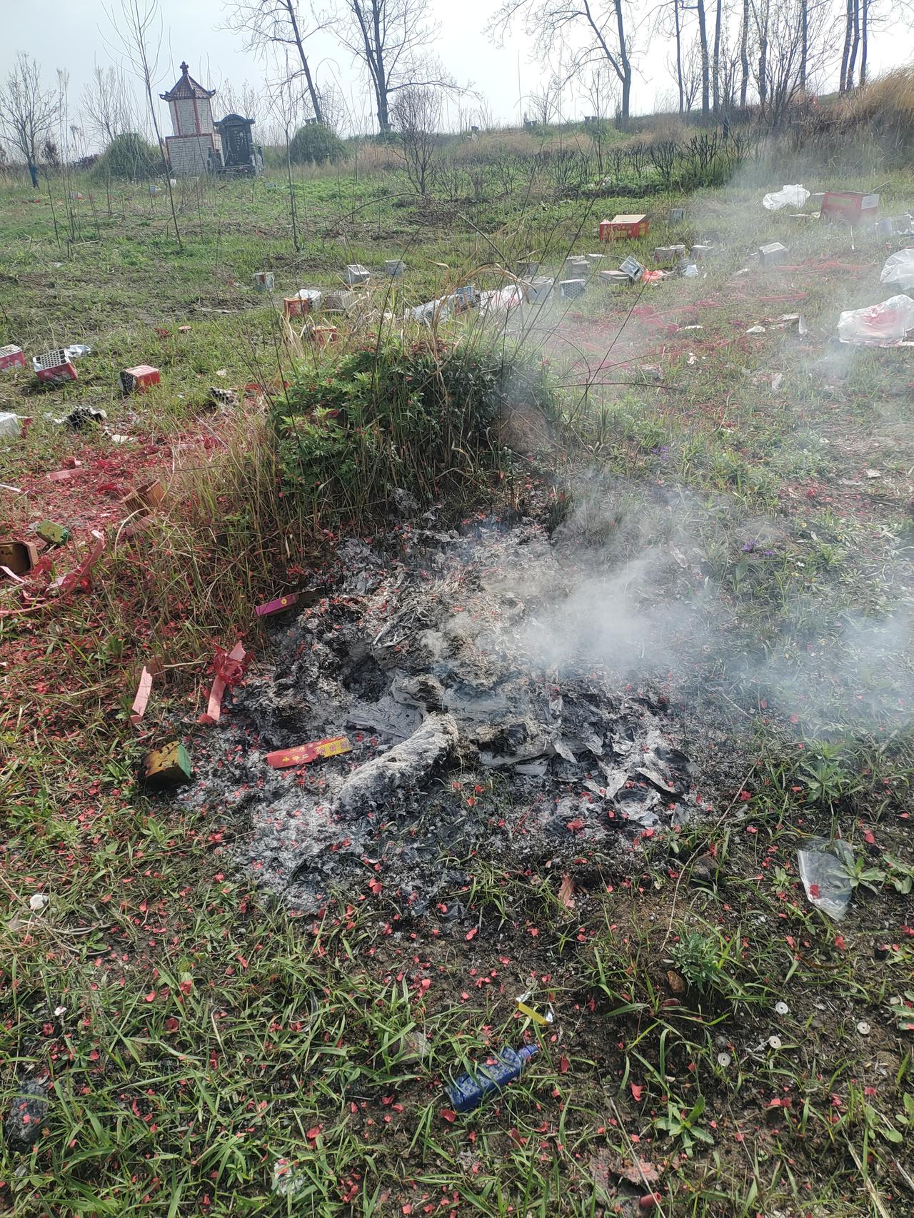 玄学，你信吗？
清明节回故乡扫墓时，堂侄子们跟我说：风水先生看过咱家的老坟地，称