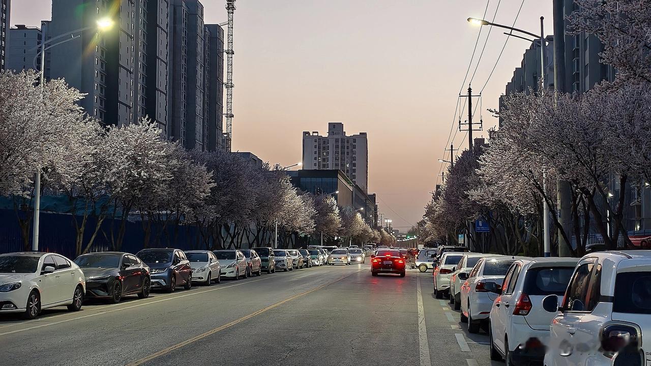 夏有凉风冬有雪。
若无闲事挂心头，
便是人间好时节。”

生活真的好美妙！