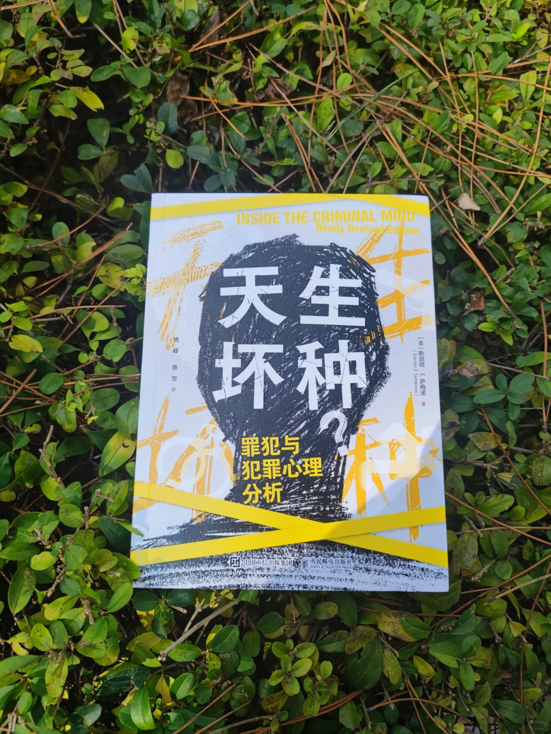 天生坏种：罪犯与犯罪心理分析