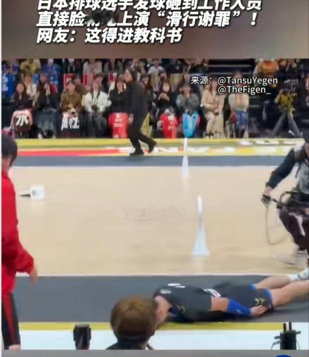 笑翻全场！日本排球选手西田有志“滑跪俯卧式”道歉成名场面日本排球选手砸到工作人员