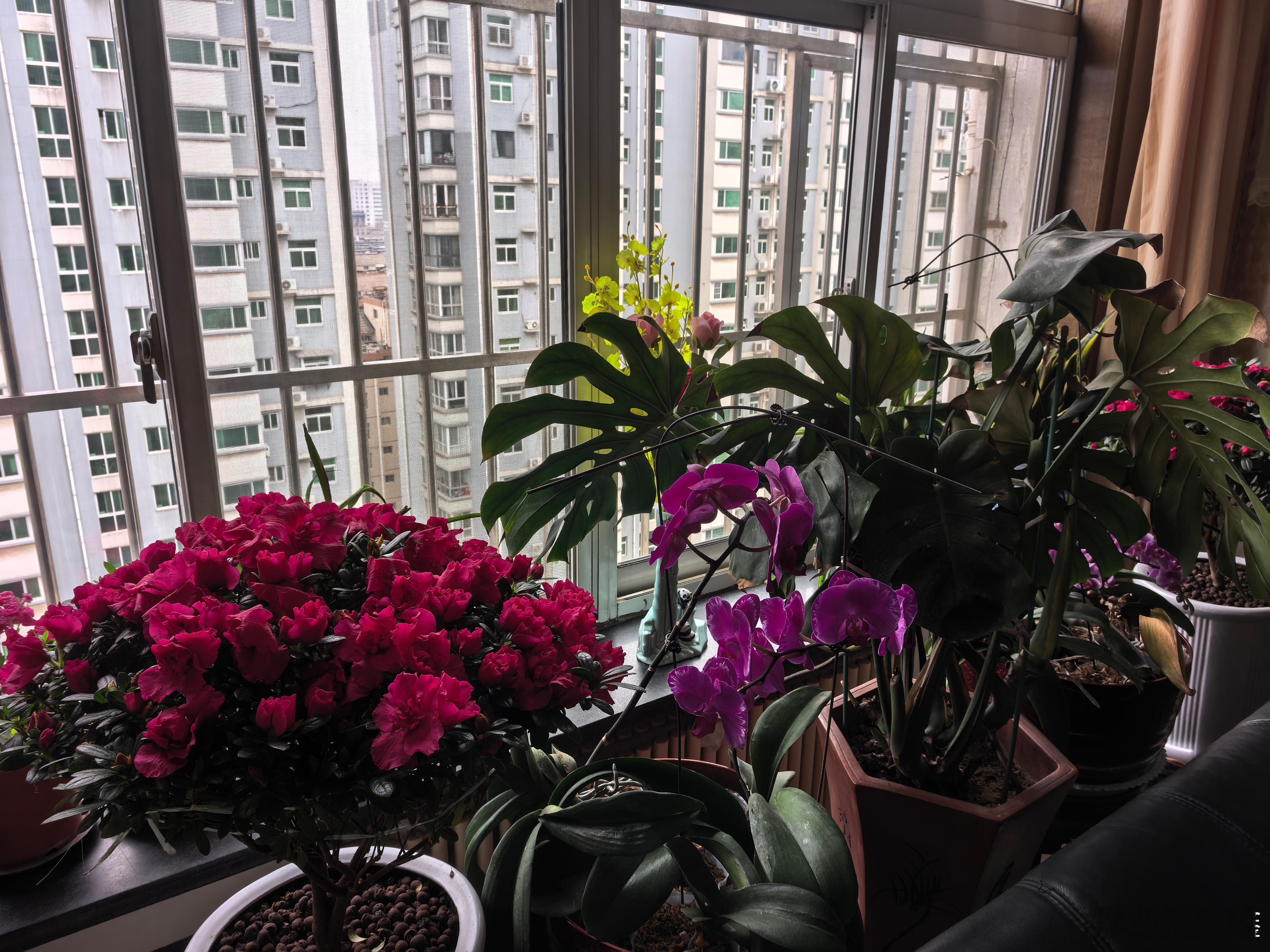 【今天北方小年 】昨天军休中心通知，今天区委区政府的领导同志要来慰问老爷子。老人