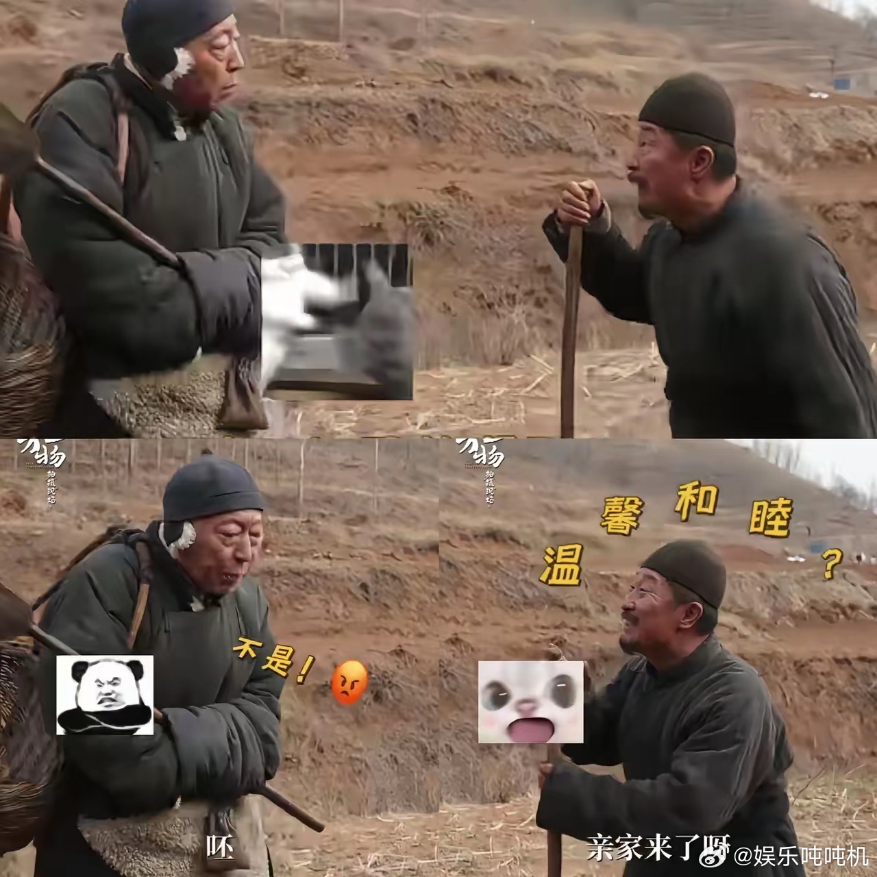 估计杨幂没有想到，欧豪也没有想到，生万物这部剧，先出圈的不是他们两个，而是男女主