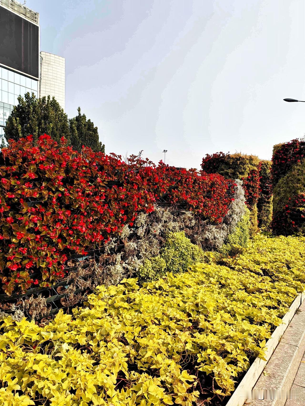 我的今日状态：😁轻松愉快
我这里的天气：☀️晴天

友又是美好的一天！
今天石