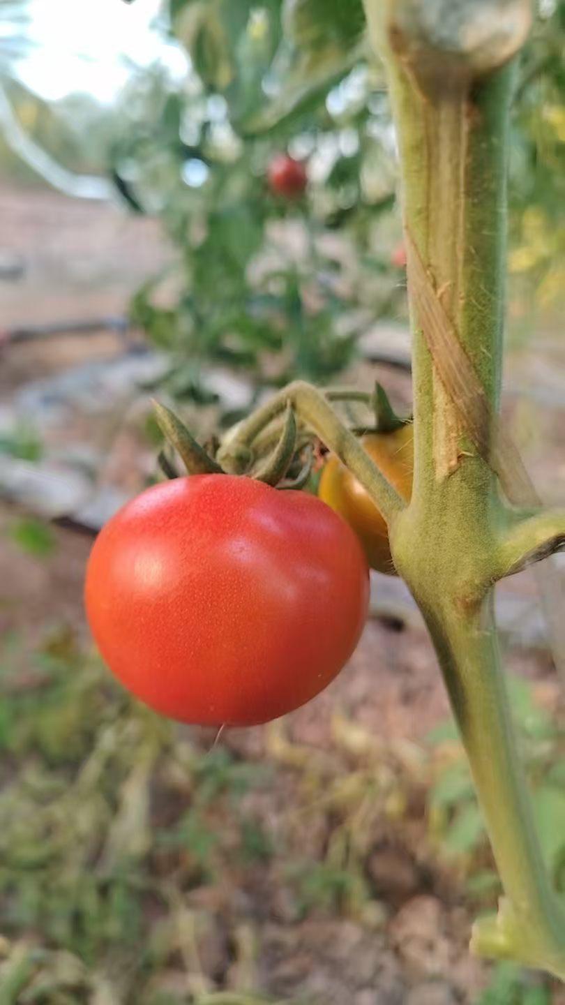 晒图笔记大赛一定红