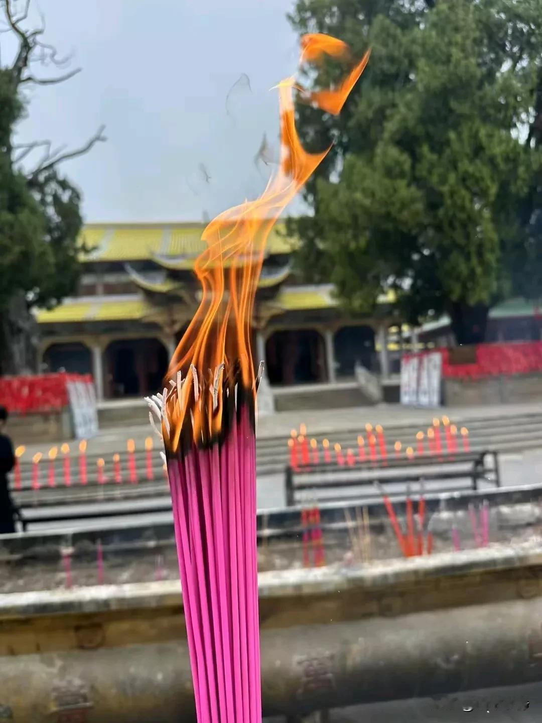 或许，我们曾经向往命运的壮丽，期待他人的认可和同情，但后来我们发现，人生最美的风