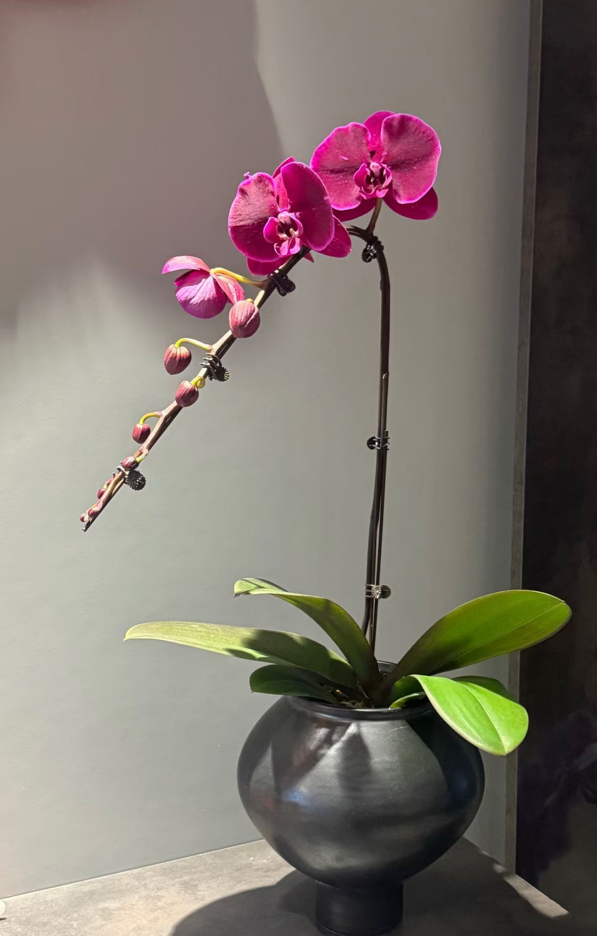 漂泊自然不该成为深圳奋斗者的宿命，深圳这座城市最迷人的地方，不在于它有多少造富神