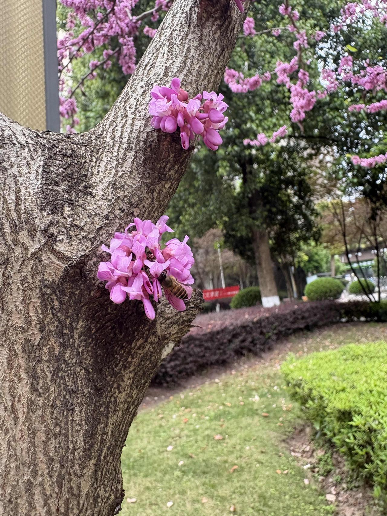 春日生活打卡季