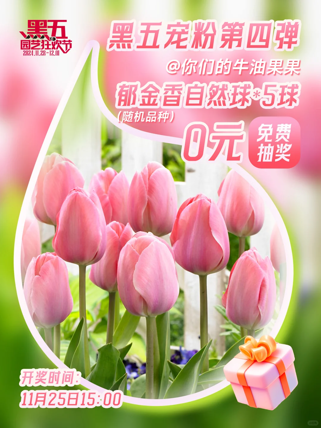 黑五宠粉第4弹！你们想要的郁金香来了~