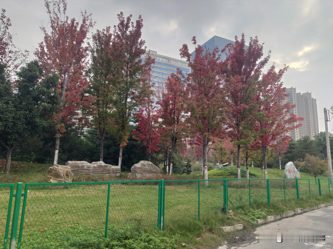 来吧！来郑州市西流湖公园看红叶！郑州公园生活