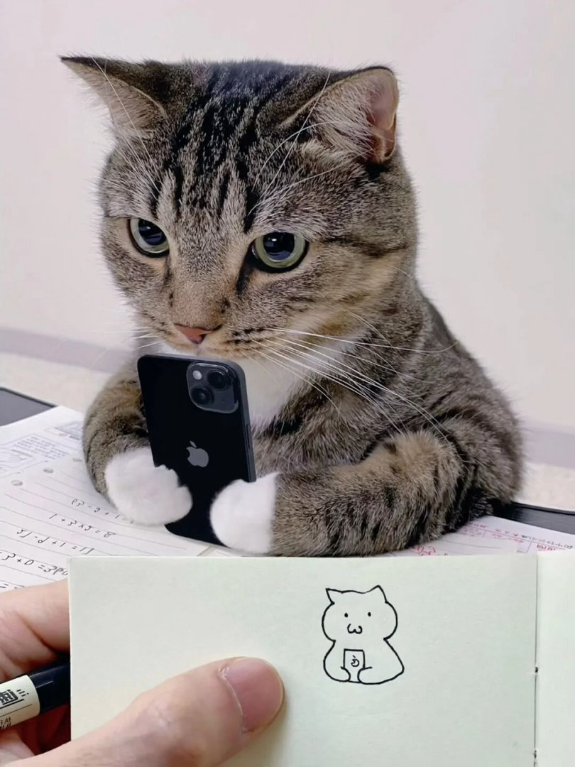 🐈猫猫速写By aycute99 
