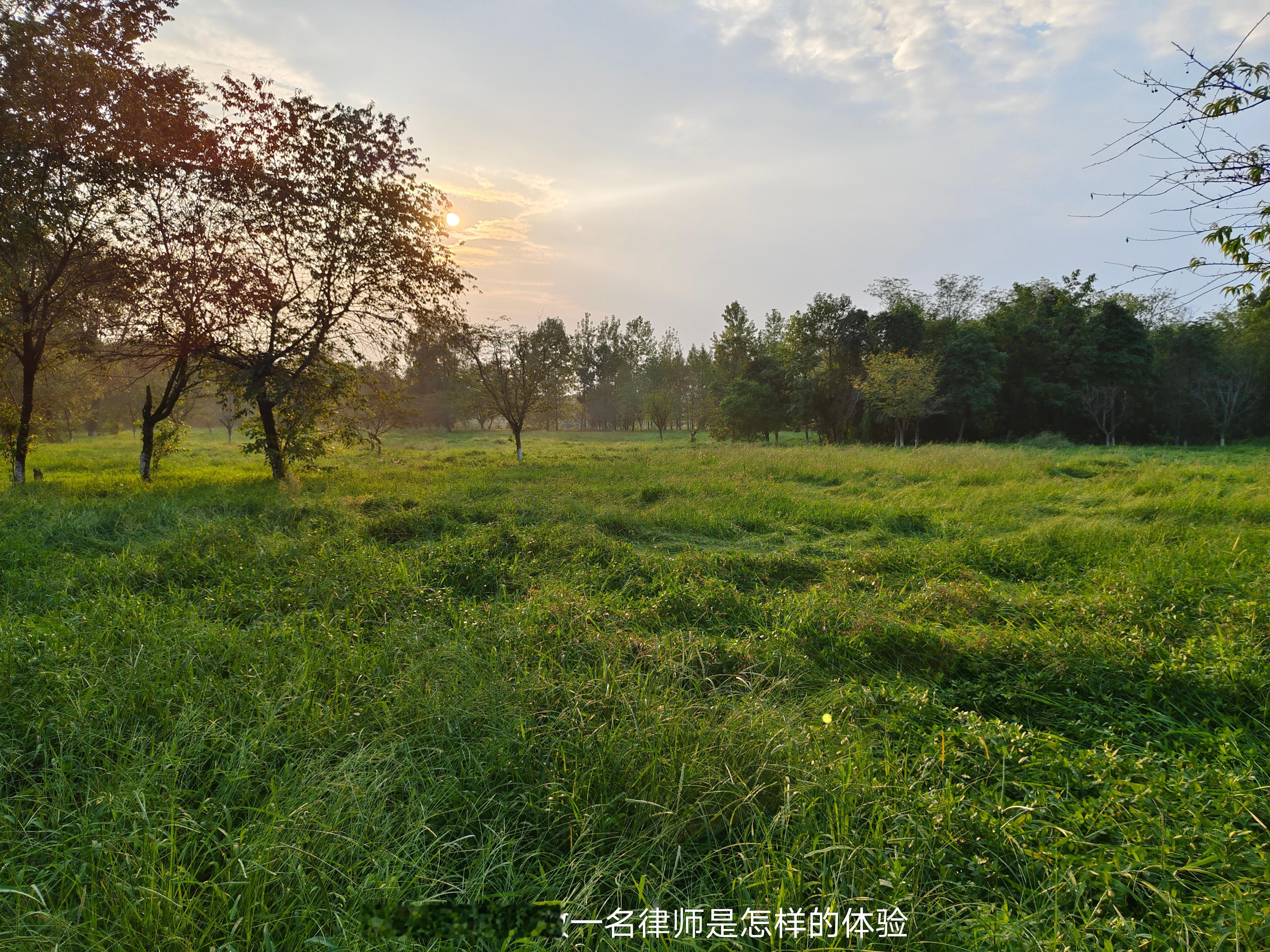有一个合伙人交办、和同事合作的案件，客户在群里想让我们同时代理同为被告、但不构成
