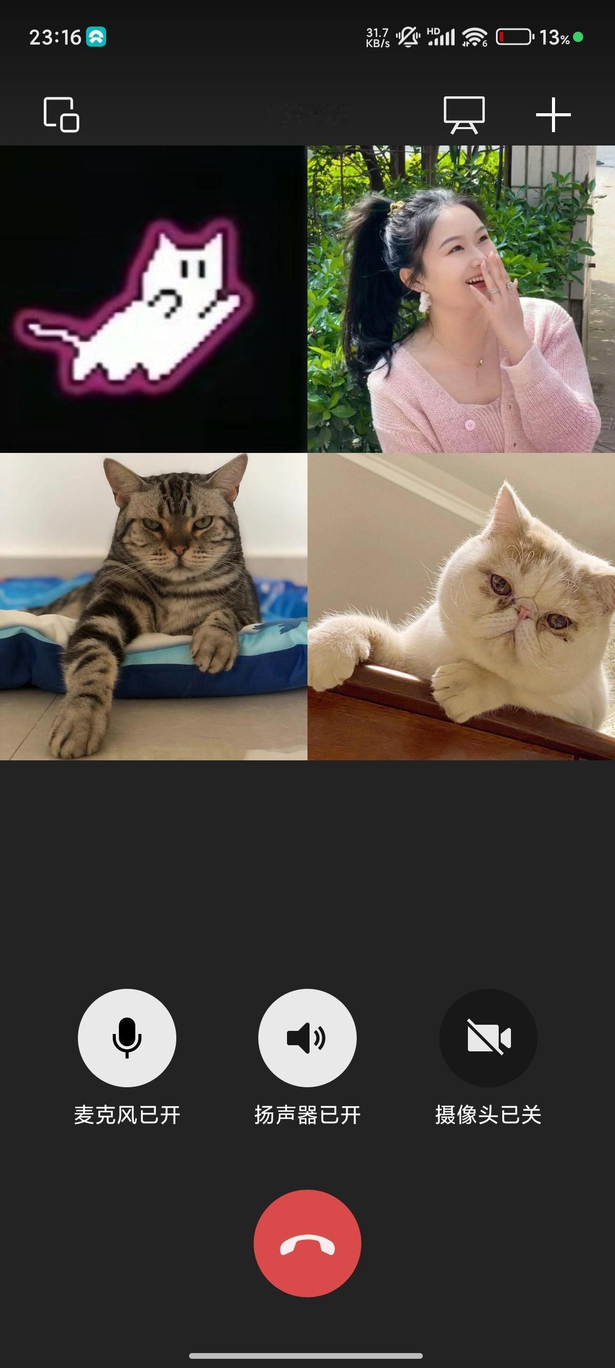 一个人和三只猫，在深夜开了100分钟的电话会

[允悲] 这只是上半场。
