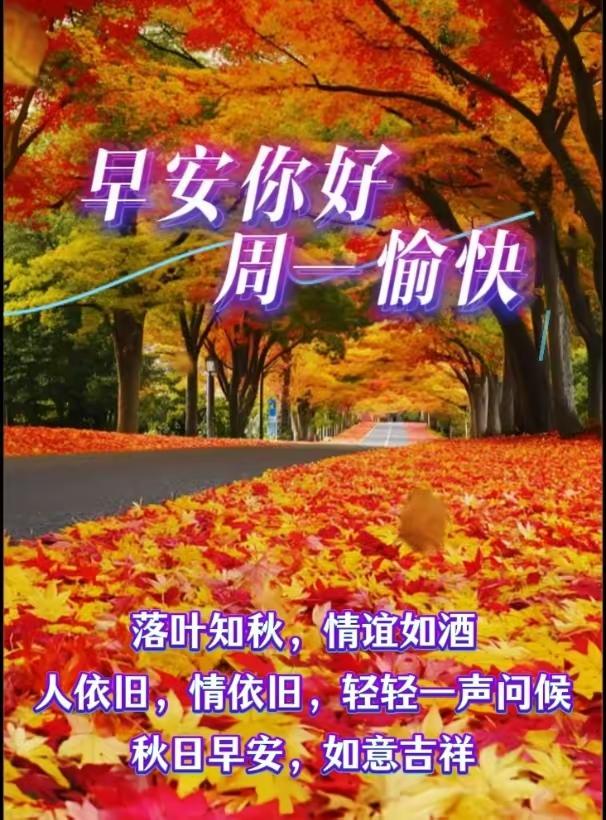 🌹早上好🌹
 
心怀微光，生活自有温柔。
年轻向往万般精彩，
年长偏爱一份清