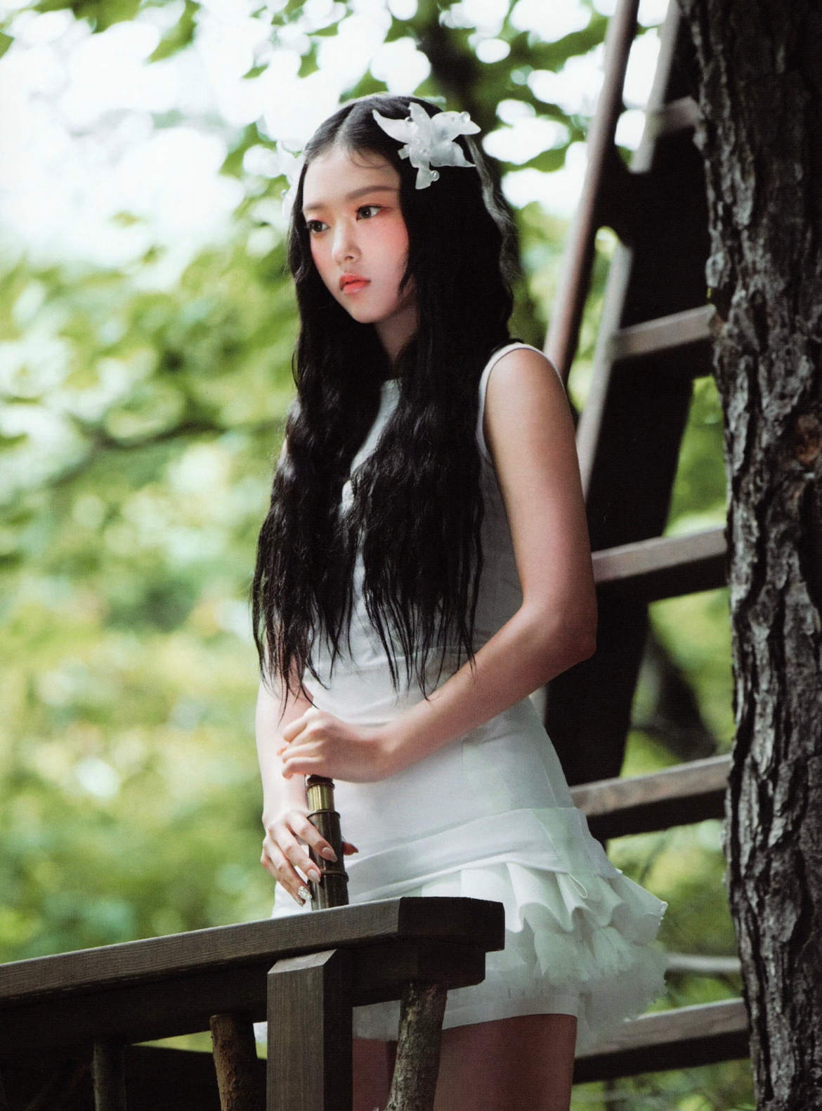 绿野仙踪🧚♀️ 