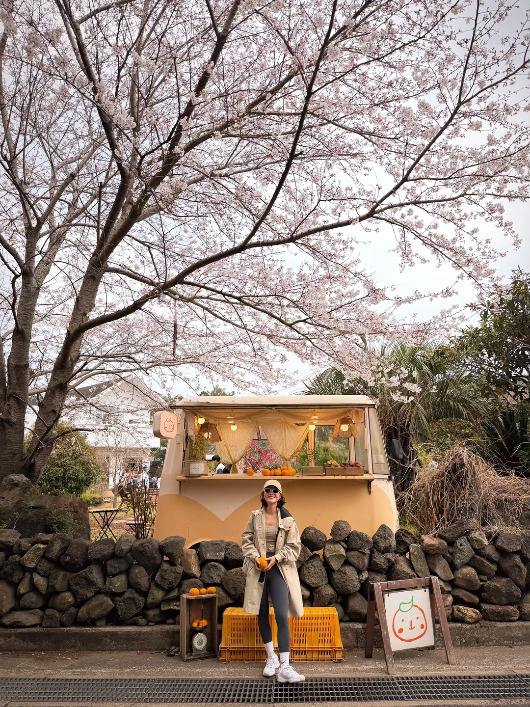 🍊济州｜在海边徒步穿越橘园的偶来小路7号线