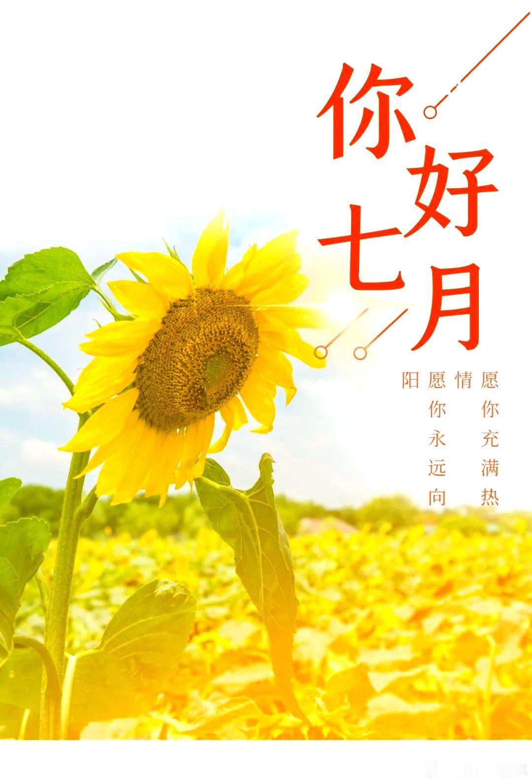 早安七月 