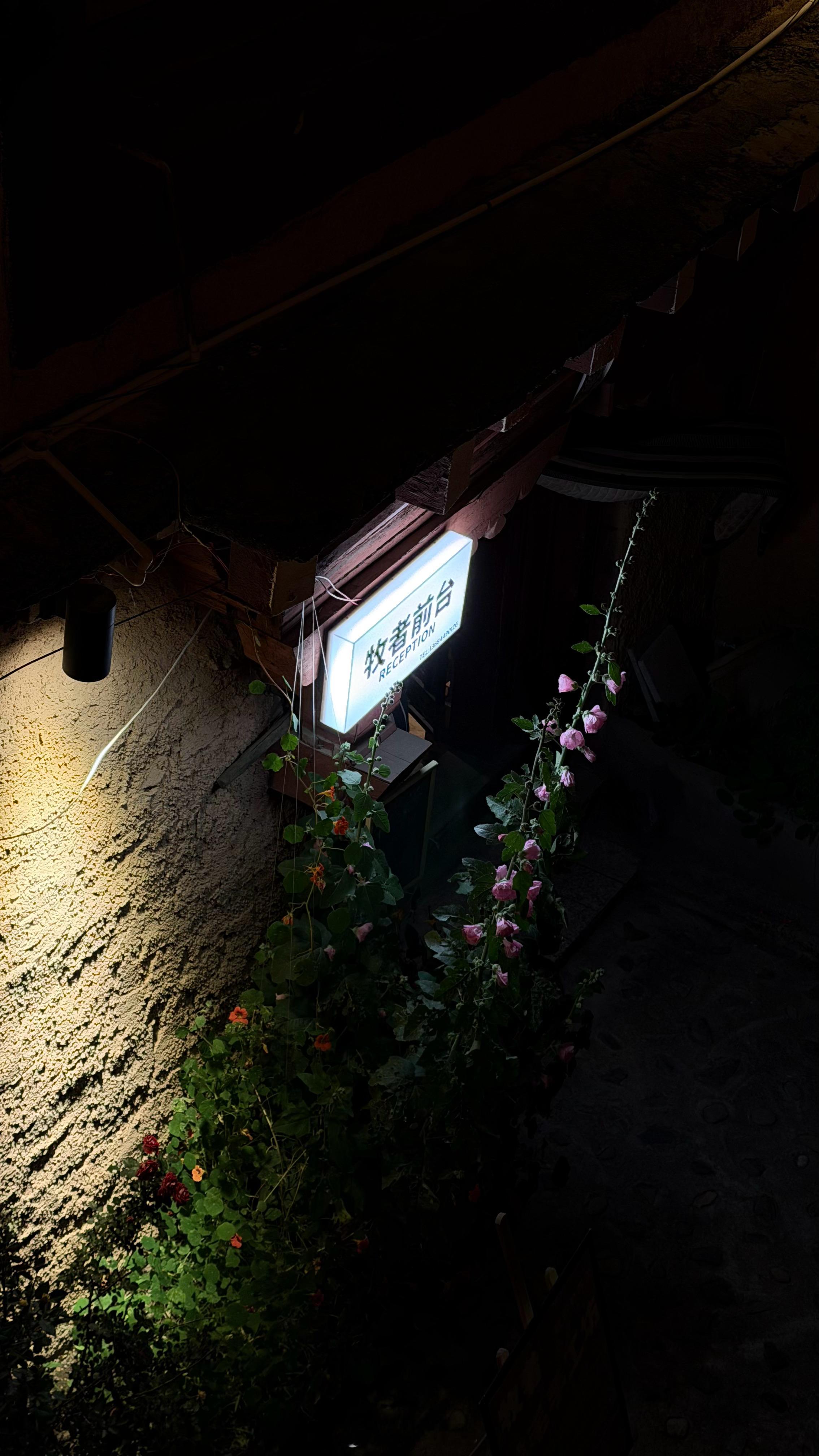 上个月经历过夜跑332国道今天再经历夜跑318国道开车技术又升华了没高反，就是累