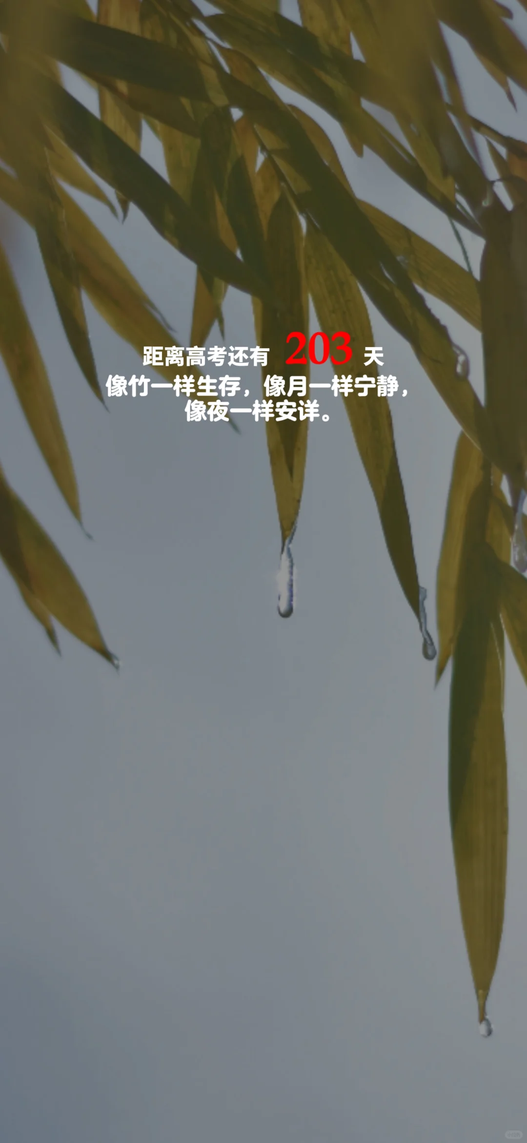 2025高考倒计时，每日更新。