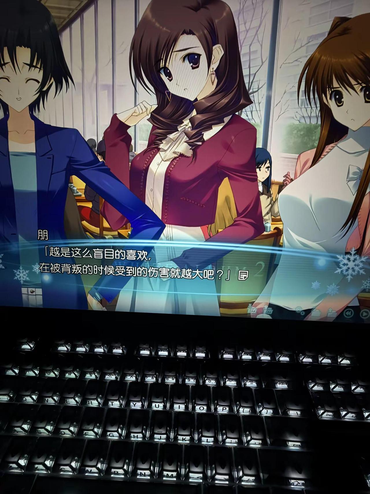 人总是去盲目的爱。galgame