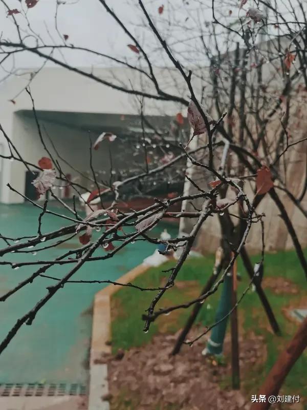 这上联“淋春夏秋冬雨”跟下联“赏东南西北风”对得可太绝啦！上联里“春夏秋冬”把时