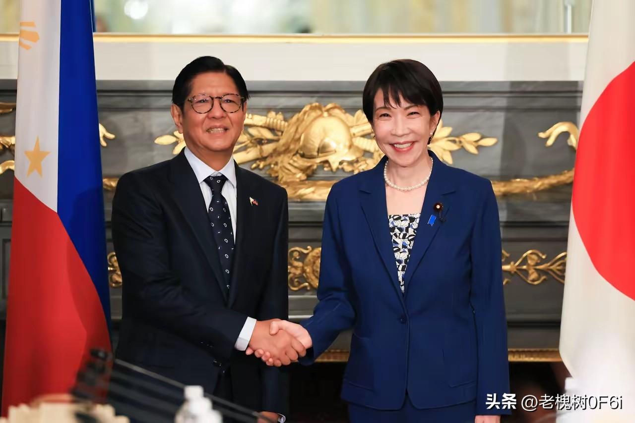 日本四处煽风点火，编织的围堵之网实则不堪一击
 
　　近一个月之内，日本展开密集