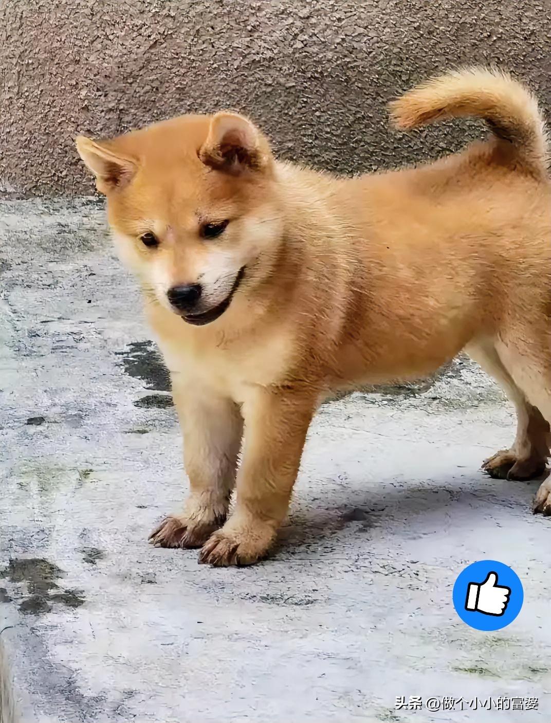 退休金2300，不社交不串门，他却活成了我最羡慕的样子
我有个同学，每月退休金只