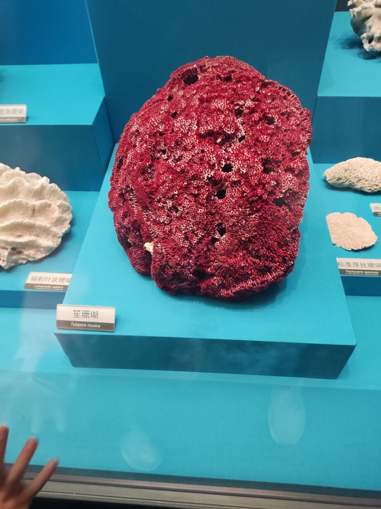 酒店回访电话引发的出轨致离婚事件
山西大同董小姐的这则差评，活脱脱上演了一出“拉