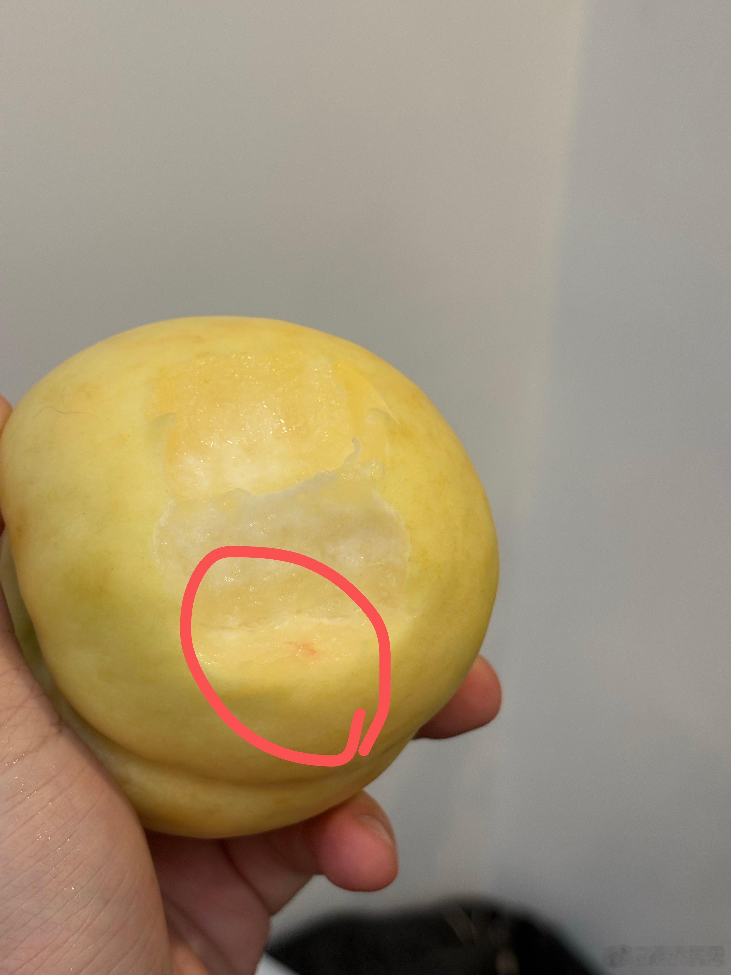 这个蒙阴白桃我跟大家说一下，虽然很清甜很大很脆…适合切着吃！我对象咬着吃，牙龈出