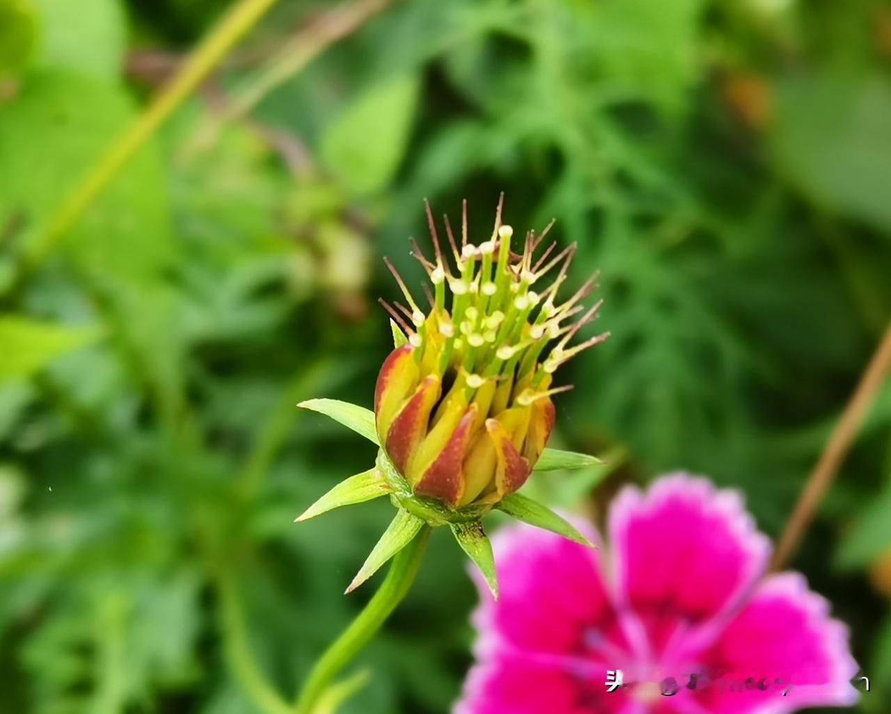 我坐着轮椅，在窗前静静地看着外面。阳光还是一样的明媚，嬉戏的孩童，忙碌的清洁工，