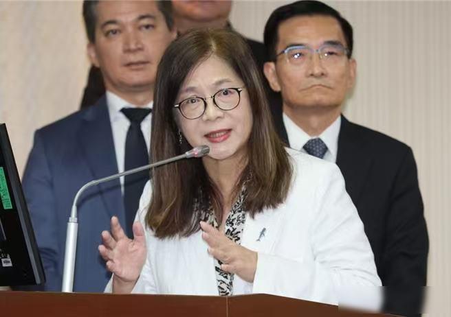 管碧玲说海上不是船大就赢，台海巡逻越来越难，小船怎么扛住大舰围堵

就在她说话前